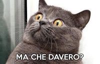1️⃣ La tua reazione quando... - 1