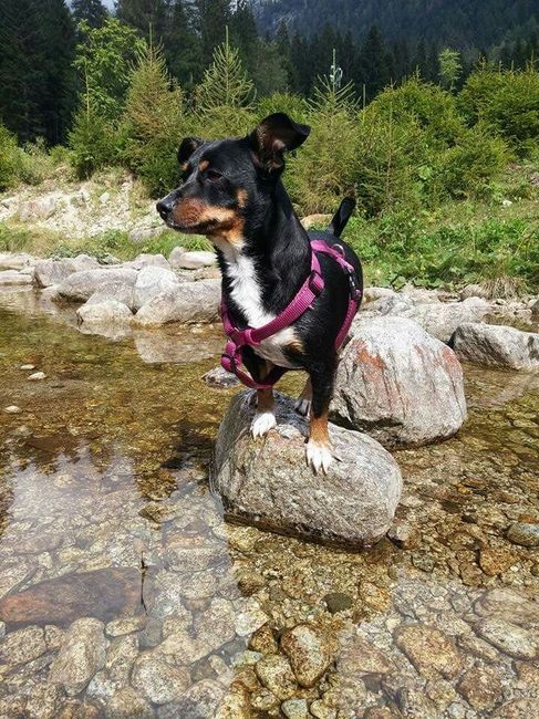 La nuova arrivata ?? - 2