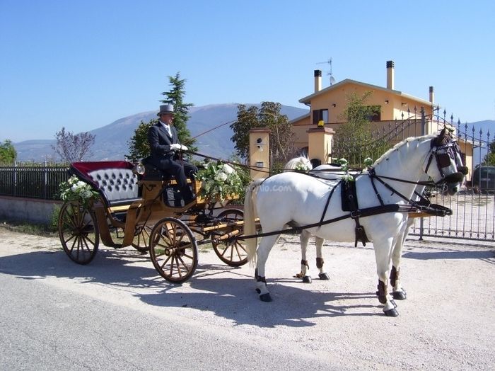 Il mio sogno è questo!!!!!!