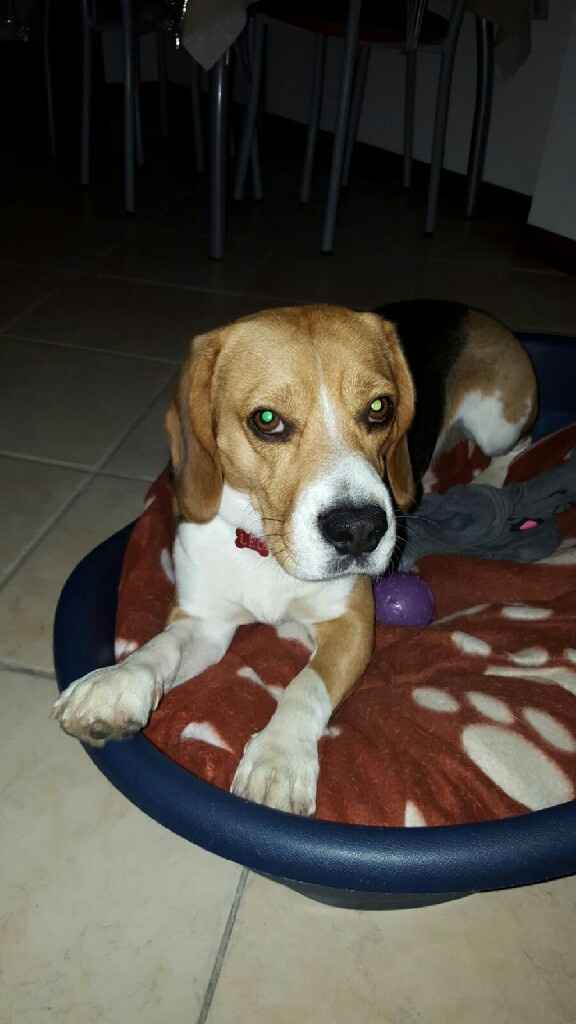 Regalo di san valentino anticipato - 1