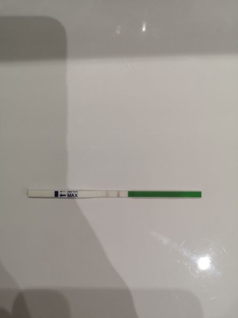 Stick ovulazione canadese quasi positivo 10 po 2