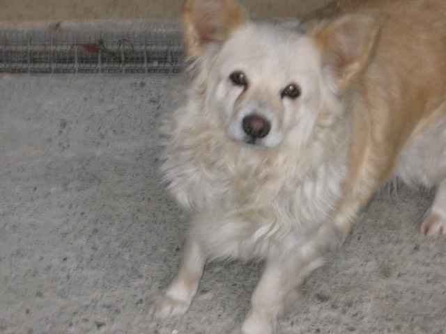 lei e' l'amore mio in assoluto Holly