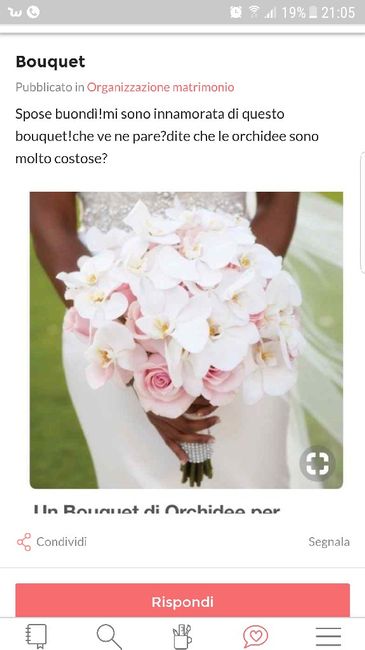  Orchidee o rose rosse? - 1