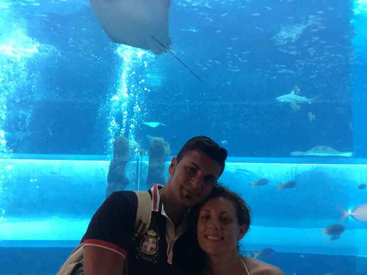  Dubai ❤️❤️❤️ - 11