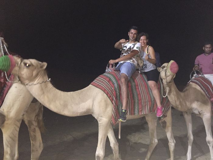  Dubai ❤️❤️❤️ - 12