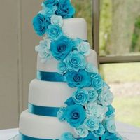 La mia torta preferita - 1