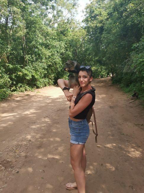 Viaggio di nozze Giappone - 3