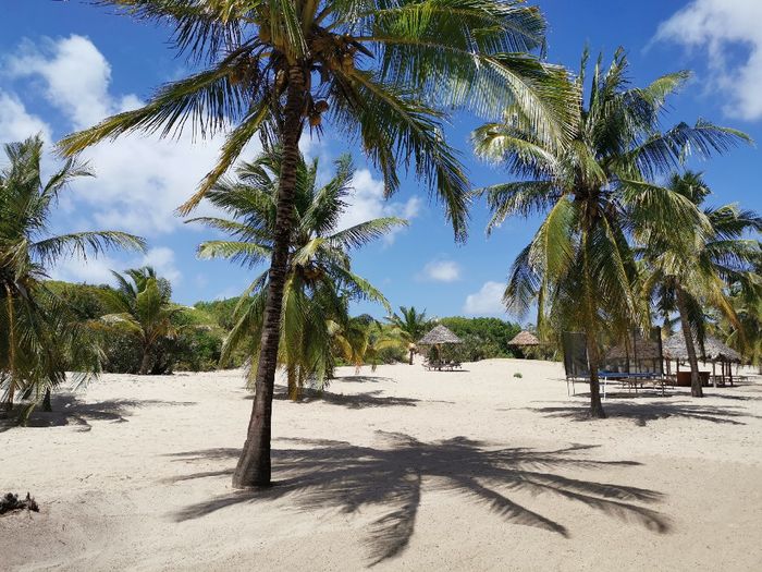 Escursioni watamu malindi 17