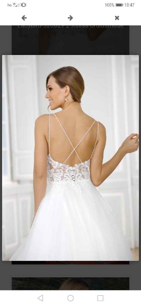 Velo si o velo no? - 2