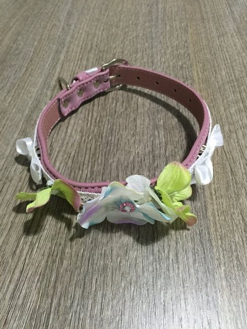 Collari da "sposa" per i nostri amici... quando la colla a caldo è una fissazione! :) - 3