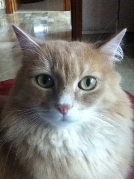 Molly