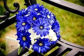 bouquet blu1