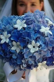 Bouquet blu2