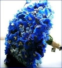Bouquet blu3