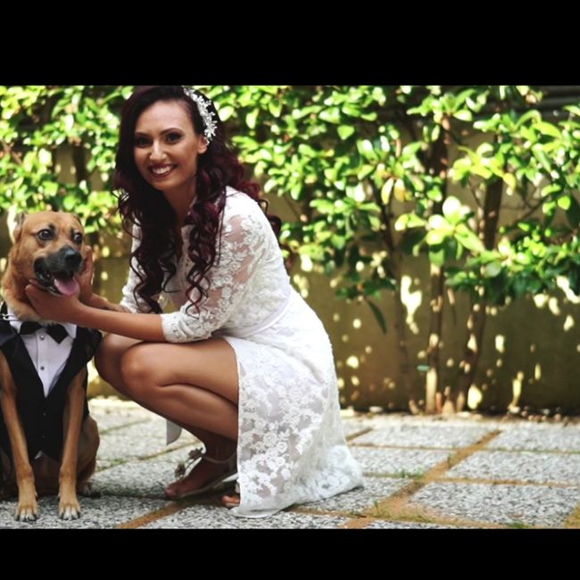 Cane al matrimonio! - 1