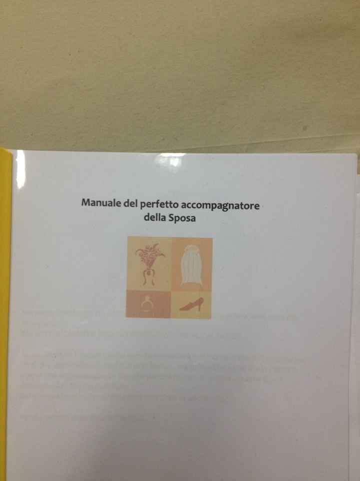Manuale testimone e accompagnatore finito !!! - 1