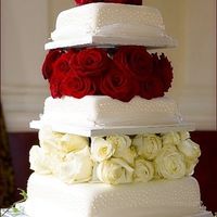 TORTE 