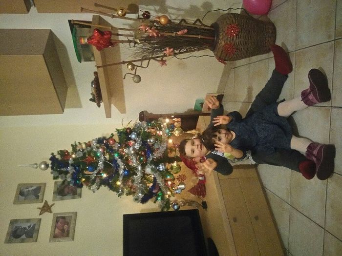 Il ns primo albero da mr. and mrs - 1