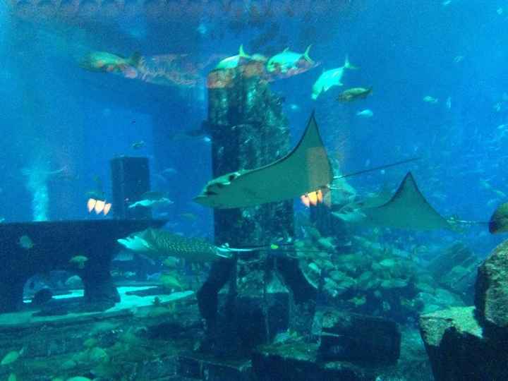 Seychelles e Dubai da sogno