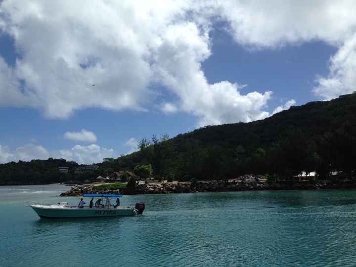 Cercasi foto maldive e seychelles - 1