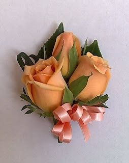 rose pesca