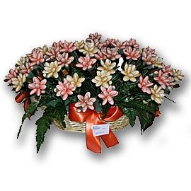confetti in fiore