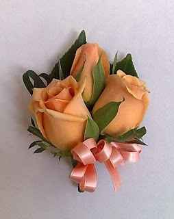 rose pesca