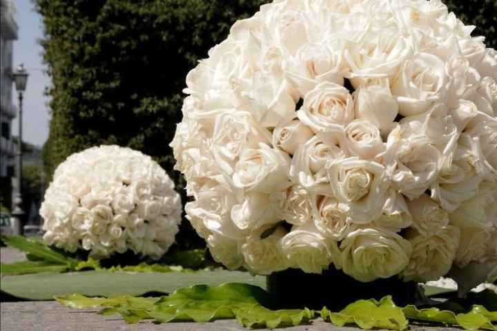 bellissime