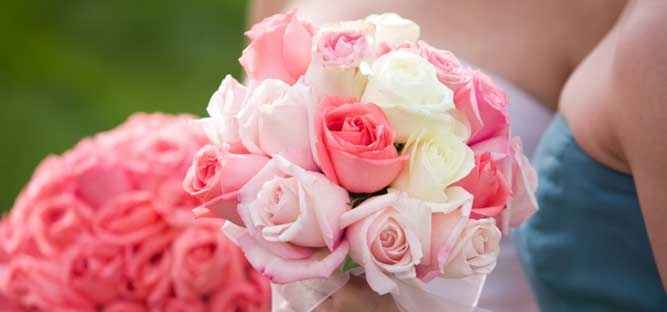 rose.....