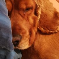 Collaboratori pelosi ❤️ - 1