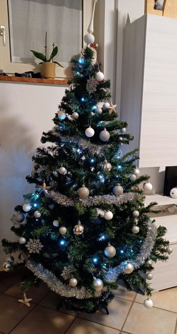 L’albero di Natale! 🎄 8