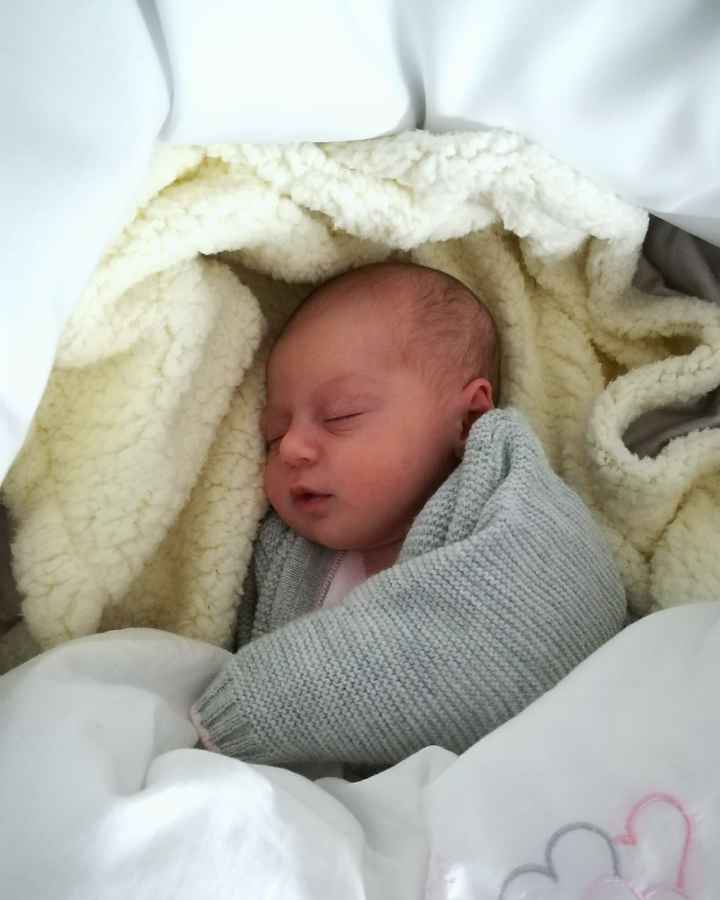 L'inizio del nuovo anno. - 1