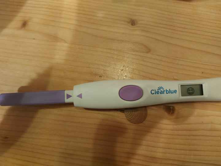 Help - Ovulazione e clearblue - 1