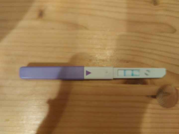 Help - Ovulazione e clearblue - 2