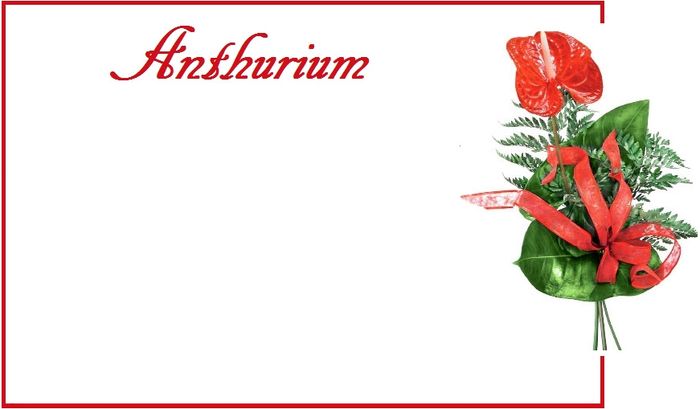 segnatavoli per teblau