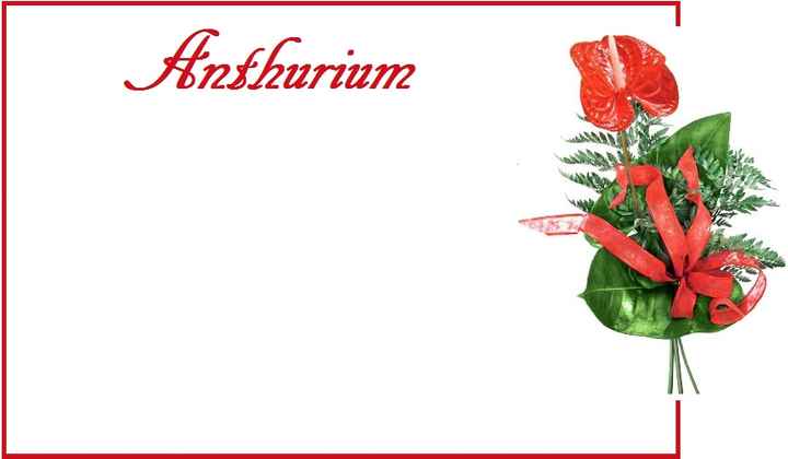 segnatavoli per teblau