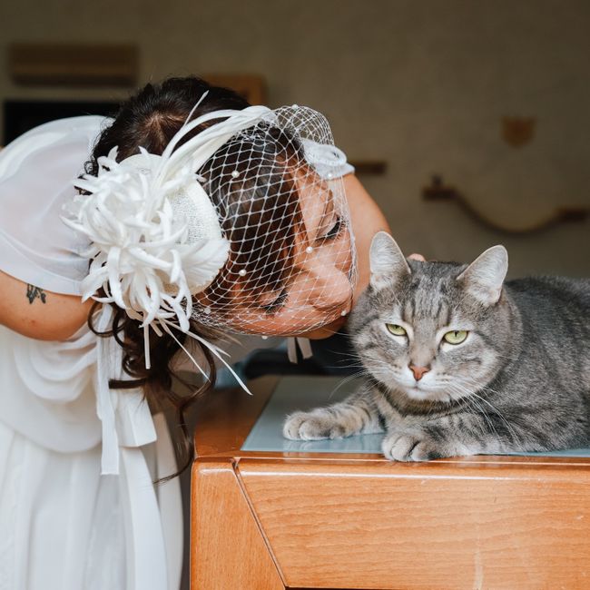 Accessorio capelli 6