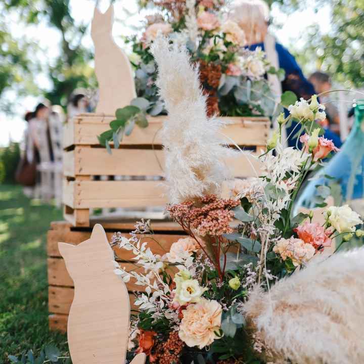 Cuscino matrimoniotema gatto x gattolici - 5