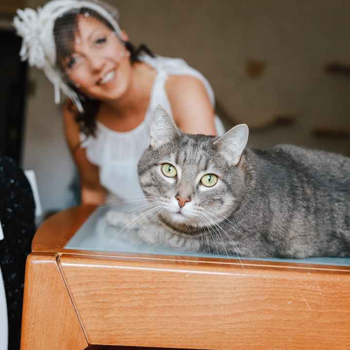 Scatti belli,  2020 - 4