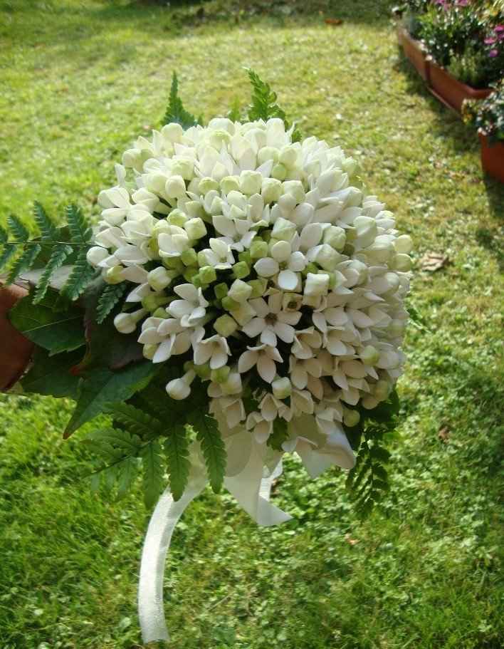 Bouquet bianco - 1