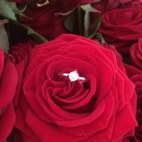 Anelli di fidanzamento - 2