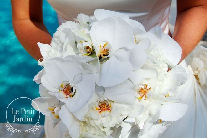 Matrimonio deludente. - 4