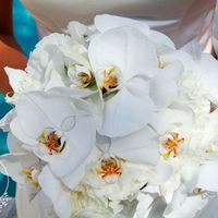 Matrimonio deludente. - 4