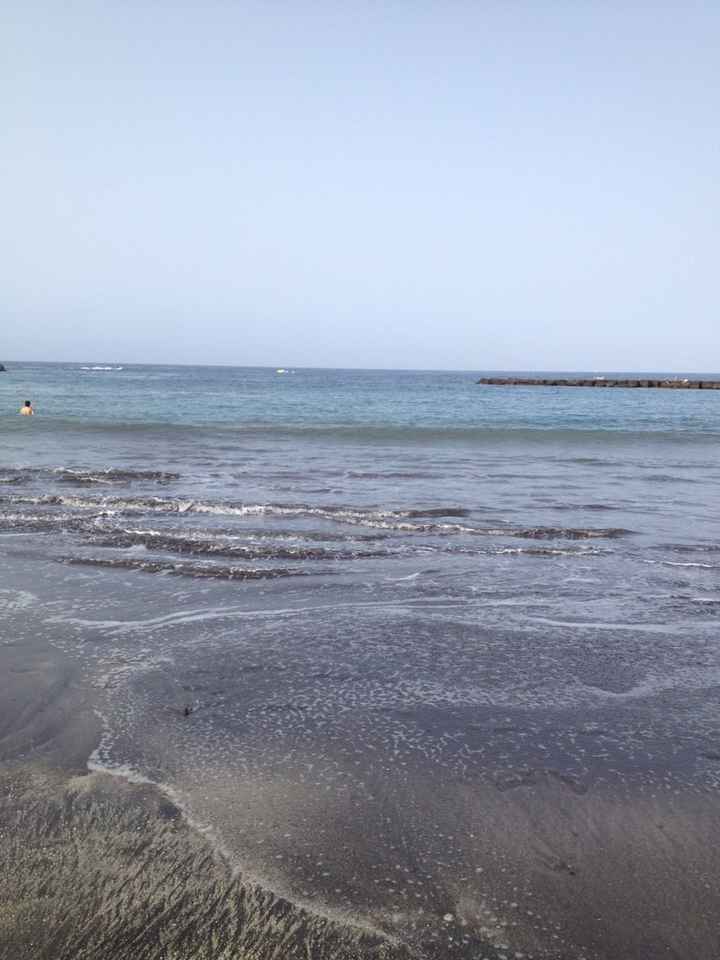 Fuerteventura o tenerife - 3