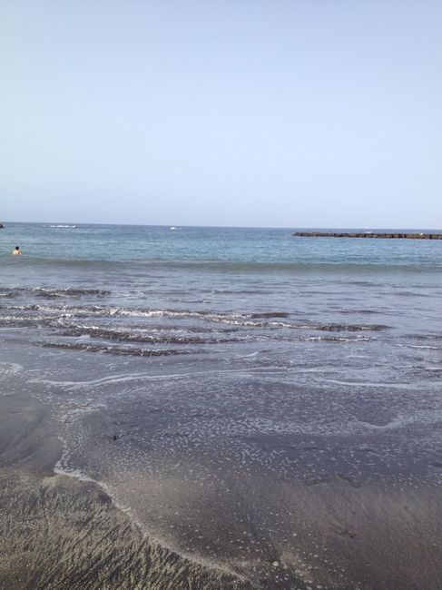 Fuerteventura o tenerife - 3