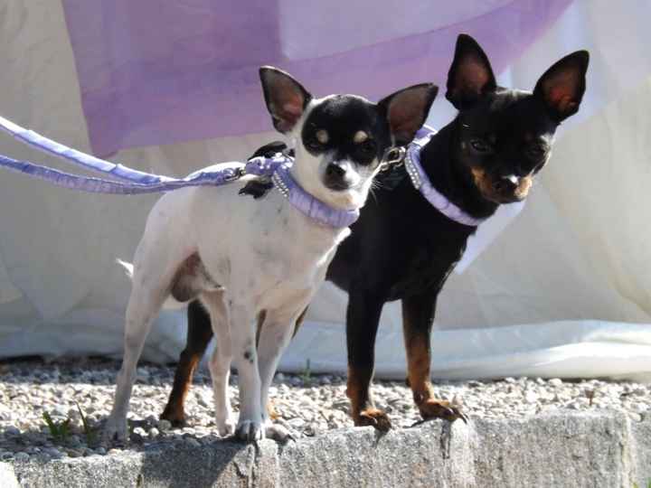 Il nostro giorno 26/09/15 - 3