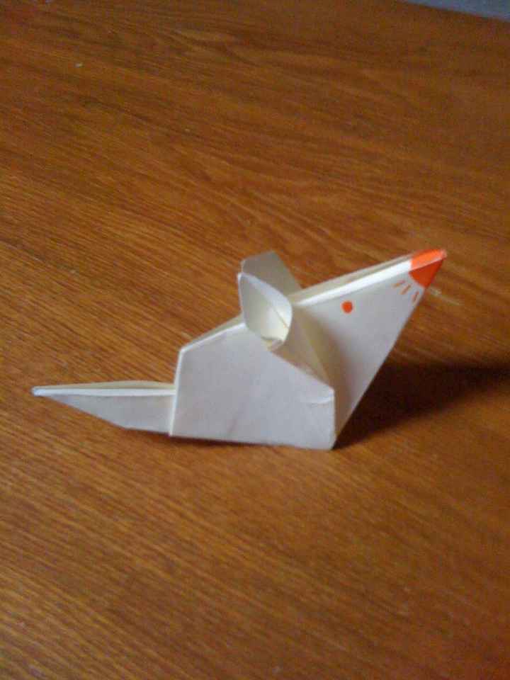 PRIMA PROVA ORIGAMI!