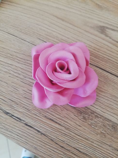 Rosa rosa 😅😅 - 2