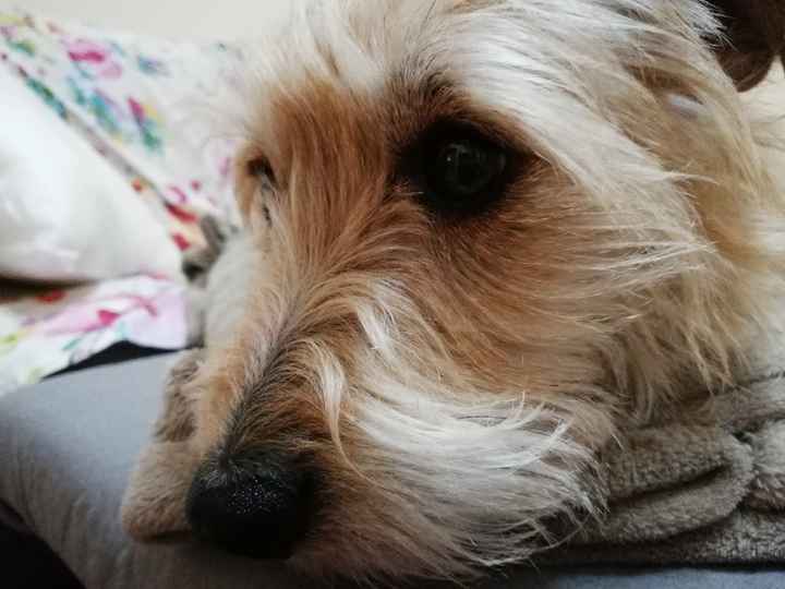 Collaboratori pelosi ❤️ - 1