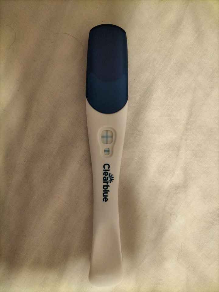 Chi non le aspetta per aprile? 🍀🌸🌺🌼 - 1